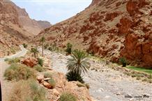 Sortida de les Gorges del Todra